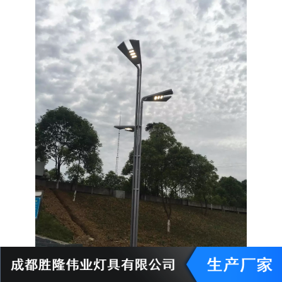 太阳能铝合金银杏道路灯_胜隆伟业小区银杏灯_四川银杏灯制造商