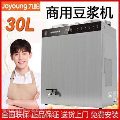 九阳（Joyoung） 豆浆机商用30升免滤大型磨浆机全自动浆渣分离酒店餐厅食堂DSA300-01