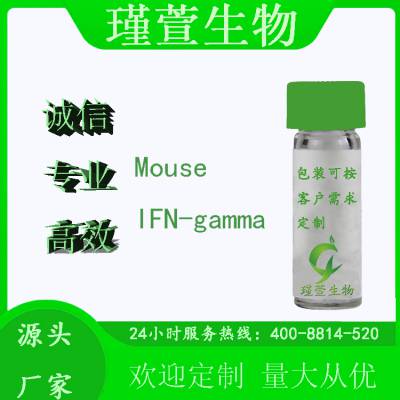 活性验证 重组蛋白 Recombinant Mouse IFN-gamma Protein Interferon