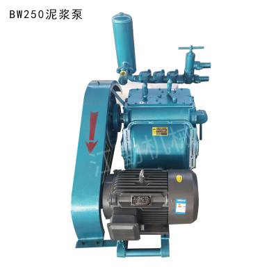 ʽBW250עýṹص Ǳˮཬ ע