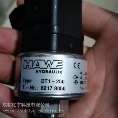 哈威HAWE DT1-250 传感器 风电使用