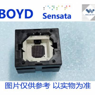 CBG064-051P BOYD/SENSATA/WELLS-CTI/QINEX BGA-64-0.8