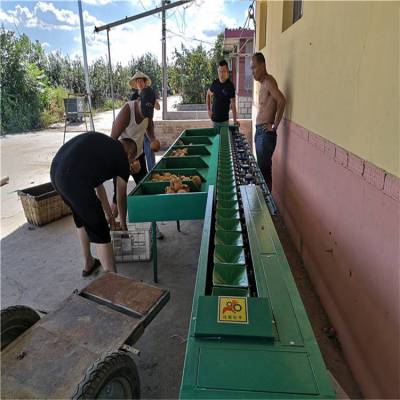 凯祥微型苹果选果机 选苹果的设备 可移动小型选果机 水果筛选机