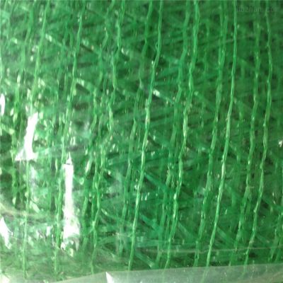 遮阳盖土网 聚乙烯防尘盖土网批发 6针绿色密目防尘网