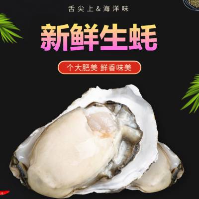 乳山生蚝特点，乳山生蚝可以刺身么？