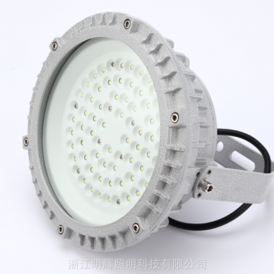 ˮIP65/1*60WӦˮ100w