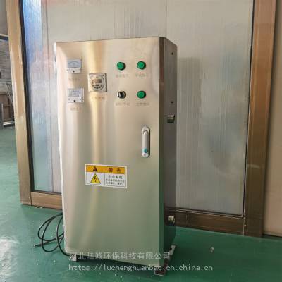 水箱消毒器 冀陆诚 SCII-20HB 外置式水箱自洁消毒设备