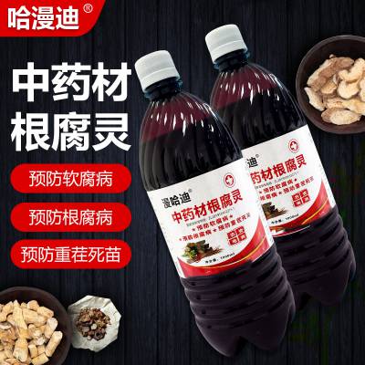 根腐病怎么办菖蒲黄叶怎么处理