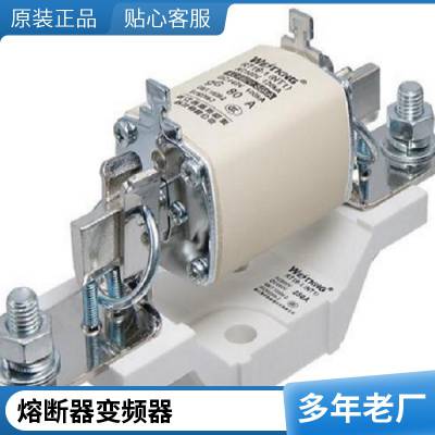 LDZ10506509 罗宾康GH180系列变频器备件 6A,600V熔丝