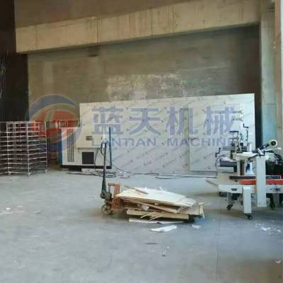 佛手柑烘干箱 佛手柑烘干设备 佛手柑烘箱 蓝天