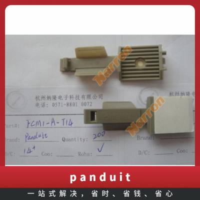 PanduitBS100845 BGN-C 化合物半导体 否 电缆束带