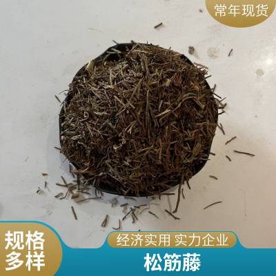 吊壁伸筋草中药材 批发筋骨草 青筋藤