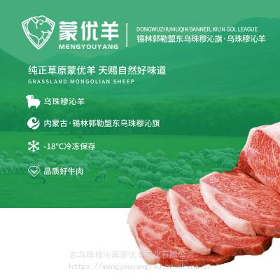 厂家直供 内蒙古锡林郭勒牛肉 蒙优羊天然优质牛肉块 草原散养黄牛