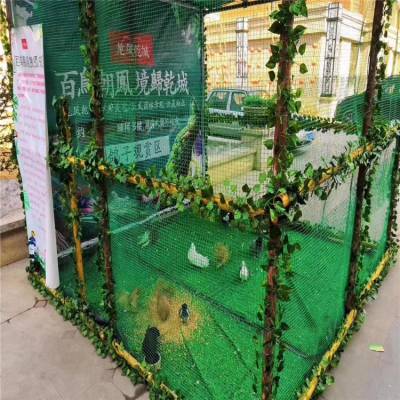 大同 专业百鸟展 鹦鹉表演 厂家