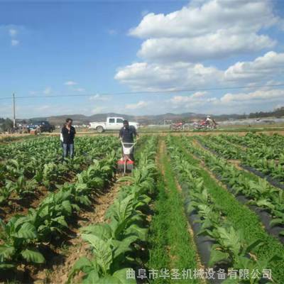 柴油178垄沟上土机 多用途开沟培土机图片