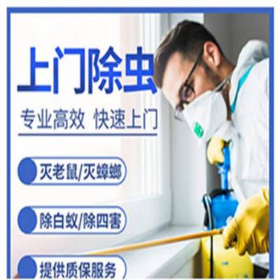 빫˾ Ϻĺ ó 溦