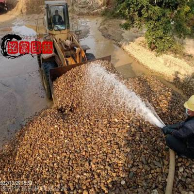 广东深圳鹅卵石基地 自然铺路杂色鹅卵石 5-8公分抛光鹅卵石