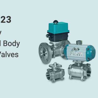 InterApp球阀不锈钢2路石化水处理造纸螺纹法兰安装BVA23三件式