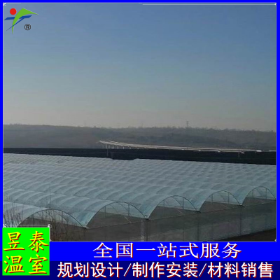 ̩ 綯ʪ߲˴  YTWSGX1840