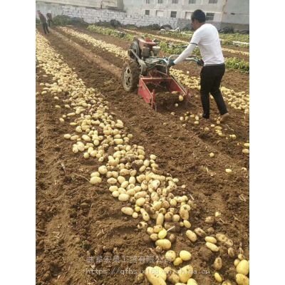 手扶土豆薯类收获机 材花生收获机