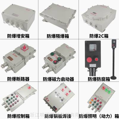  ExdCT4-IP54-WF2ѹ