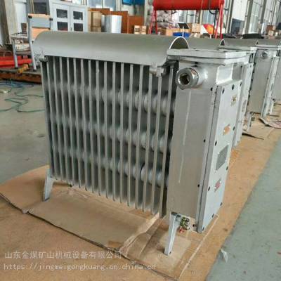 RBE-1000/127防爆取暖器 矿用隔爆兼增安型电热取暖器 升温快