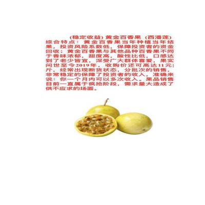 һƽ̰