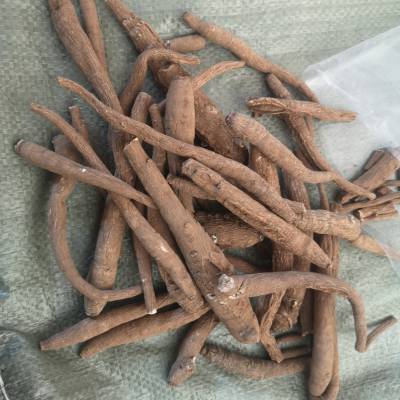 野生地壮雄根地壮雄根价格地壮雄根厂家