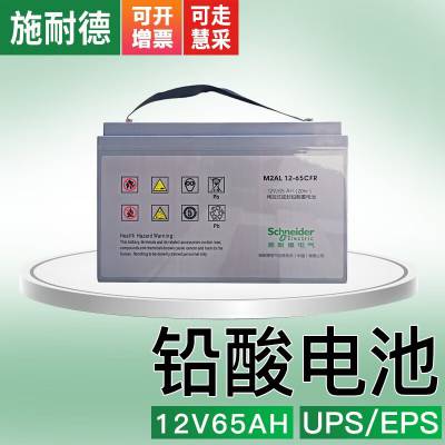 施耐德铅酸免维护蓄电池 UPS/EPS通信电源电池 M2AL12-65CFR 12V65AH