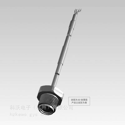 LM31-00000F-005PG ѹ RV ͺϴ޼ СҺλ ̩TE
