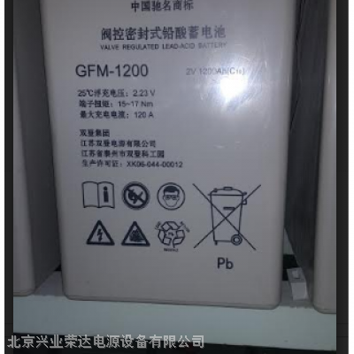 ˫GFM-1200/2V1200AH ֱ