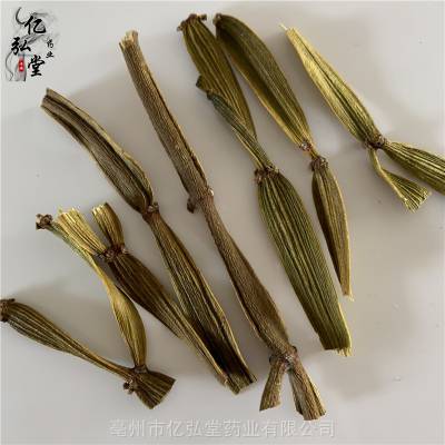 中药材蟹甲草功效与作用 虎草,羊角天麻,螃蟹骨,常裂蟹甲草,螃蟹草