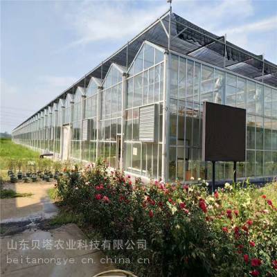 江西玻璃温室行业的发展现状 江西智能温室造价 智能连栋温室