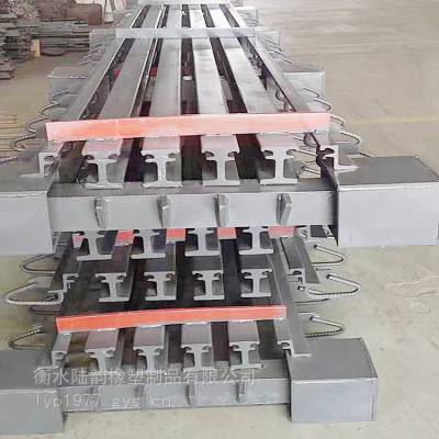 E型多组式桥梁伸缩缝 陆韵 模数式伸缩装置 养护简便
