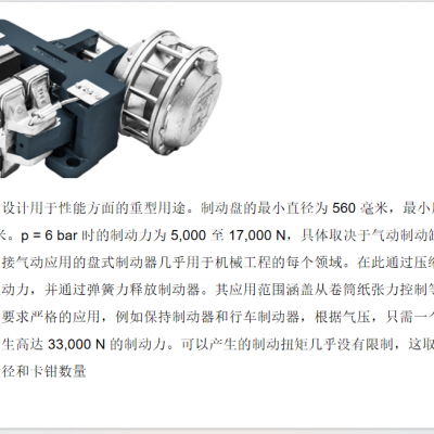 rietschoten 重工业中的安全制动器输送系统所有类型的起重设备