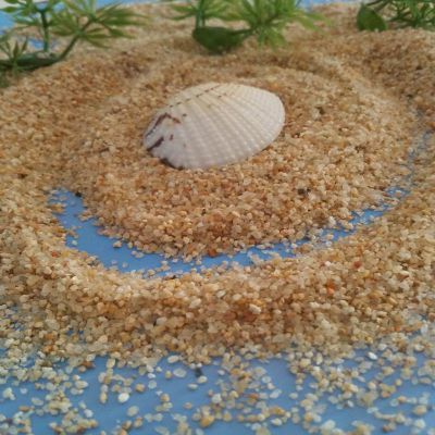 长春海砂 儿童娱乐沙 30-50目水洗滤料 黄白细沙
