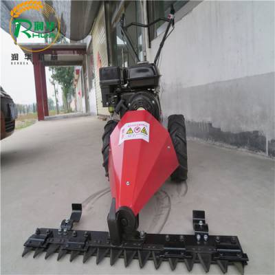 ʽݻ ﶯ͸ ʽݻ