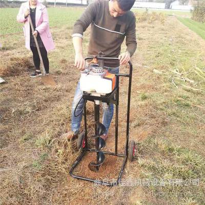 农用果树移栽挖坑机 佳鑫果园打洞机 植树钻眼机价格