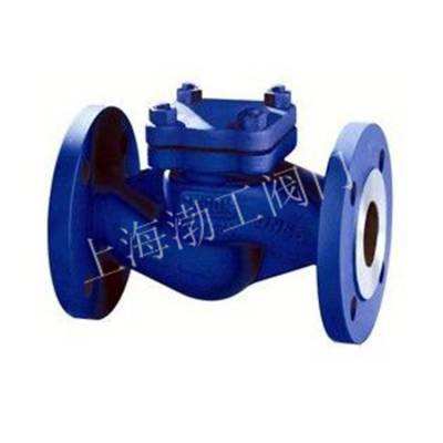 德标波纹管升降式法兰止回阀 WH41W-40P 波纹管无泄漏止回阀 自动止回阀