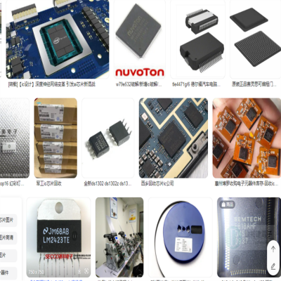 SGMICROʥ΢ϵicоƬ