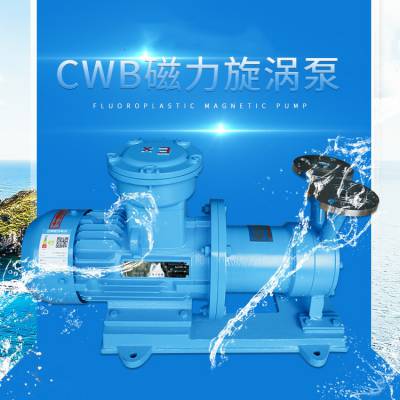 20CWB-20不锈钢磁力传动旋涡泵磁力泵磁力泵以静密封取代动密封