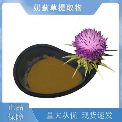 奶蓟草提取物10:1 水溶 水飞蓟 浓缩粉 食品级原料