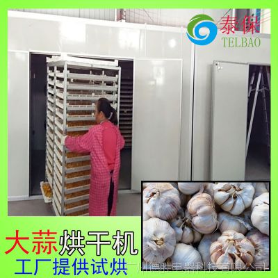 泰保供应大蒜空气能烘干机 热泵烘干设备 可免费试炼