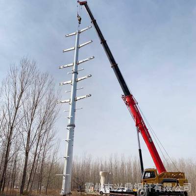 兴鼎避雷针钢管杆变电站架构12米10kv终端杆压桩