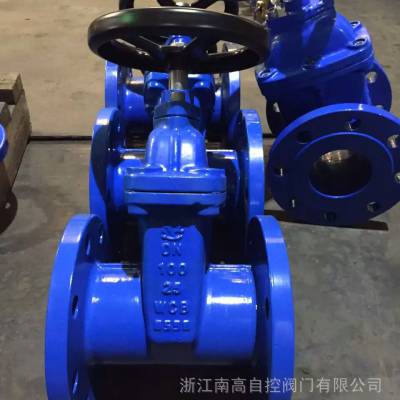 不锈钢法兰闸阀 Z45X-10P DN65 明杆软密封给水闸阀不锈钢 浙江南高阀门