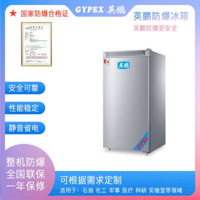 Ӣ GYPEX ΣƷֿ⻯ҵBL-200DM90L 220V