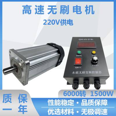 永磁小型电机220V 2000W高速6000转大功率静音高速直流无刷电机