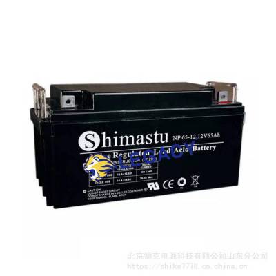 美国SHIMASTU蓄电池NP65-12/12V65AH直流屏ups电源