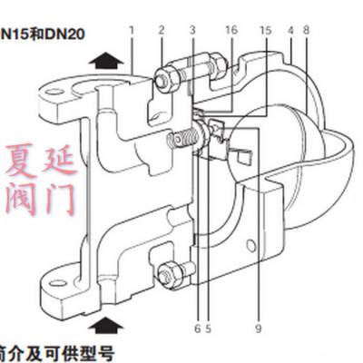 spiraxsarco斯派莎克AE36A液体系统自动排空阀、AE36A自动排气阀、DN20