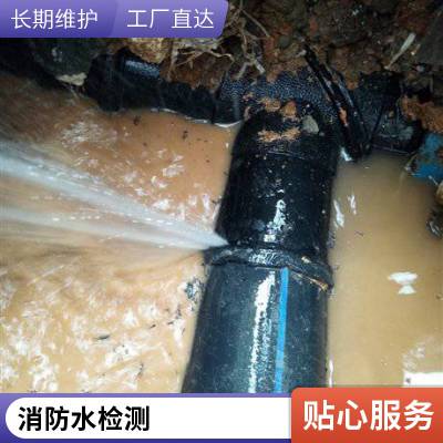 苏州朝友查漏水公司 检测地下水管漏水 消防自来水管漏水检测